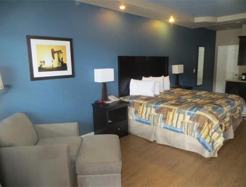 Single King - Accessible Room